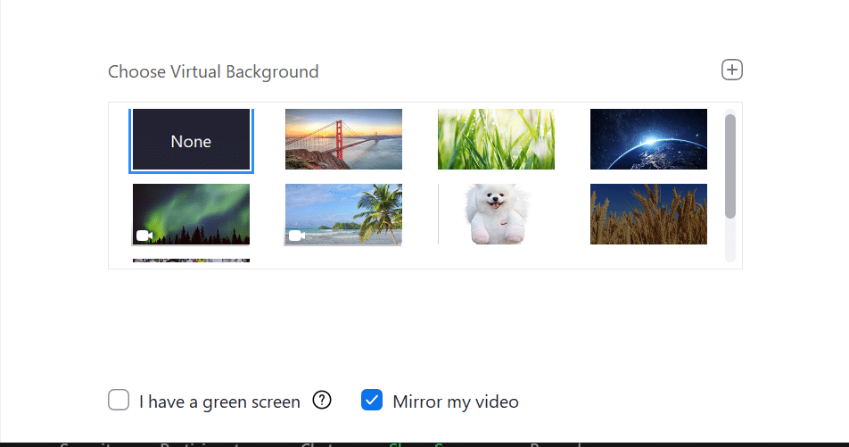 How to Set Up a Zoom Virtual Background (Windows/Mac) - Webaround: Webcam  Background / Backdrop Solution