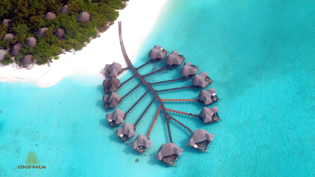 A aerial view of cabanas in the ocean