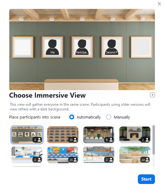 The Zoom Immersive View Settings Module