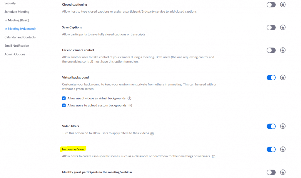 A screen capture of the In Meeting (Advanced) settings showing where to find Immersive View toggle.