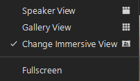 Change Immersive View Option Button within the View area of Zoom