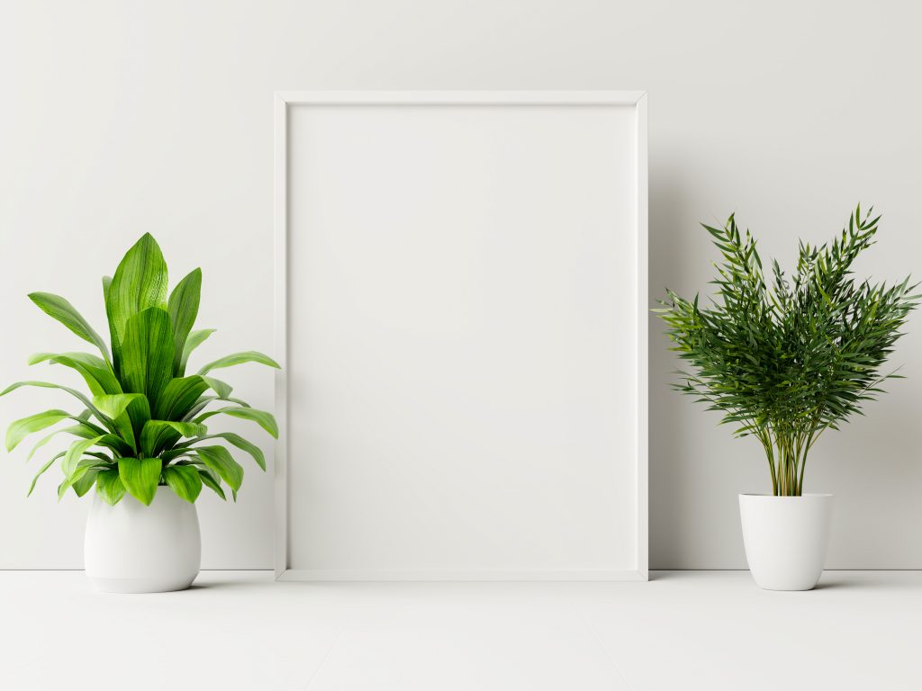 Two house plants on a ledge with a white background